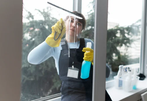 Nettoyage de vitres intérieures et extérieures à Bésayes
